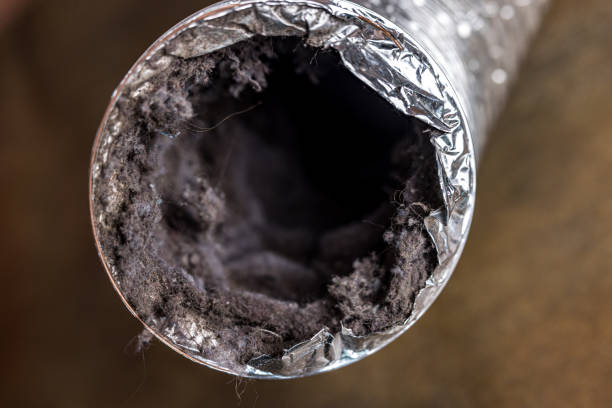 Best Affordable Duct Cleaning Services  in Riverview Rk, PA